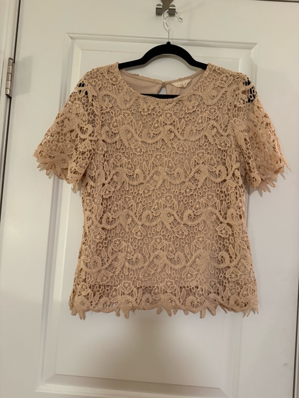 Adiva Beige Crochet Lace Short Sleeve Blouse